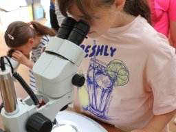 Półkolonie letnie 2025